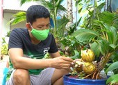 Video: Bonsai dừa hình hổ thu hút khách hàng từ Nam ra Bắc