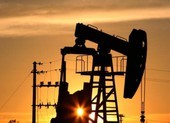 Tin vui: Giá dầu giảm mạnh khi UAE đồng ý 'bơm' thêm dầu vào thị trường