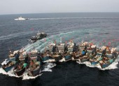 Chuyên gia: Báo động nguồn cá tại Biển Đông trước các đội tàu cá Trung Quốc 