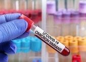 Thông tin mới nhất về 5 ca nhập cảnh nhiễm biến chủng Omicron 