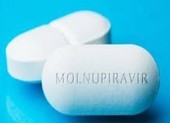 Bộ Y tế cấp phép khẩn 3 loại thuốc chứa Molnupiravir sản xuất trong nước