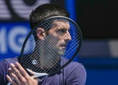 Djokovic không làm giả phiếu xét nghiệm COVID-19