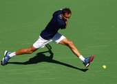 Medvedev nỗ lực đòi ngôi từ Djokovic