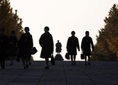 Nhật: Số học sinh tự tử năm qua cao nhất trong gần nửa thế kỷ