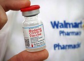  Tăng hạn dùng cho vaccine Moderna
