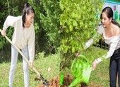 Dàn mỹ nhân Miss Earth Việt Nam trang phục giản đi trồng cây