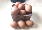 Ăn trứng có ảnh hưởng đến các triệu chứng viêm khớp?