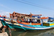 Video: Ngư dân Cà Mau tốn tiền tỉ sắm 'cu mồi' để chống trộm