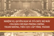 Bộ máy BCĐ phòng chống tham nhũng, tiêu cực cấp tỉnh, thành gồm những ai?