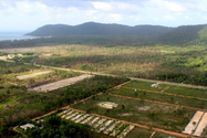 TP Phú Quốc mở đợt cao điểm xử lý vi phạm lấn chiếm đất đai