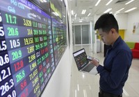 Nhà đầu tư cá nhân nâng đỡ thị trường chứng khoán