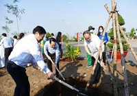 TP.HCM: Không đánh đổi môi trường lấy tăng trưởng kinh tế
