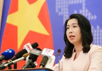 Phản ứng của Việt Nam trước báo cáo của Bộ Tài chính Mỹ