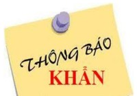 Khách đi chuyến bay QR970 ngày 10-3 liên hệ ngay cơ sở y tế
