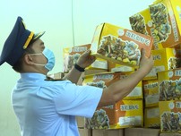 Video: Gia Lai tạm giữ 6.000 chiếc bánh trung thu không rõ nguồn gốc xuất xứ 