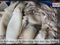 Ớn lạnh mực được ‘tắm trắng’ bằng ôxy già công nghiệp