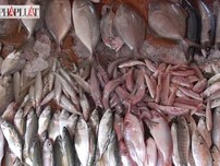 Mách bạn cách nhận biết cá biển có u rê, hàn the