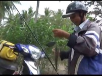 Cần thủ câu cá lóc 'bách phát bách trúng' ở Cà Mau