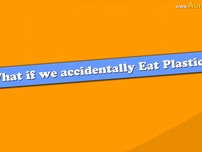 Cơ thể sẽ ra sao nếu chúng ta ‘ăn’ nhựa mỗi ngày?