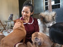 Video: Dành cả thanh xuân để chăm sóc chó, mèo