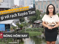 Nóng hôm nay: Tái lập chốt kiểm dịch; cải tạo rạch Xuyên Tâm
