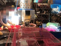 Ngán ngại với tình trạng giết mổ gia cầm sống tại các chợ 