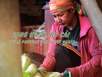 Cọng hành, bó cải và ‘má Phượng’ của người nghèo