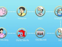 Clip: Dùng smartphone để truy xuất nguồn gốc thịt heo