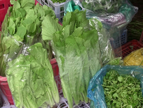 Video: Liệu rau nhà trồng có phải là rau sạch?