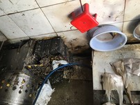 Giết mổ gia cầm không đảm bảo, có cấm được không?