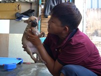 ‘Người mẹ’ của hơn 100 chú chó, mèo khuyết tật