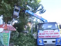 Video: Bão số 5 phức tạp, Đà Nẵng dự kiến sơ tán gần 60.000 dân