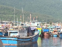 Video: Cảng cá lớn nhất miền Trung được hoạt...