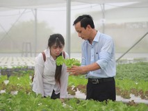 Ngỡ ngàng với vườn rau sạch trên bãi rác...