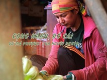 Cọng hành, bó cải và ‘má Phượng’ của người...