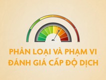 Video: Phân loại, phạm vi và tiêu chí đánh...