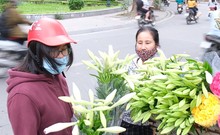 Video: Ngắm hoa tháng Tư trên phố phường Hà Nội