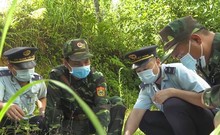 Video: Không chùn bước trong cuộc chiến chống tội phạm ma túy ở biên giới 