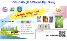 Video: 3 cách để người dân TP.HCM mua combo hàng thiết yếu qua online