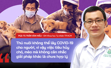 Vụ 14 chú chó, mèo ở Cà Mau: Giải mã khả năng vật nuôi lây bệnh cho người