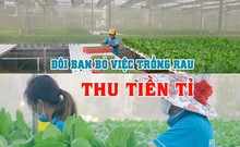 Độc đáo vườn rau thủy canh của đôi bạn Tuấn - Ngọc
