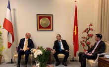 Clip: Hoạt động của Đoàn công tác cấp cao TP.HCM ở Hà Lan, Đức