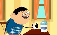 Tại sao một số người lại bị dị ứng sữa?