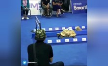 Tái hiện cuộc thi thỏ, rùa và cái kết bất ngờ