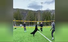 Dạy thú cưng thành tay chuyền hai nhà nghề 