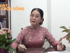Giấy tờ xe bản sao có hiệu lực?