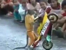 Trố mắt xem khỉ lái mô tô