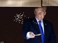 Tổng thống Trump thích thú với cá Koi tại Nhật Bản