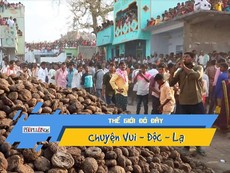 Video: Người Ấn Độ ném phân vào nhau để cầu may