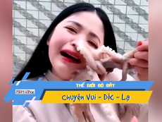 Video: Đòi ăn bạch tuộc sống, cô gái bị bạch tuộc 'xực' lại